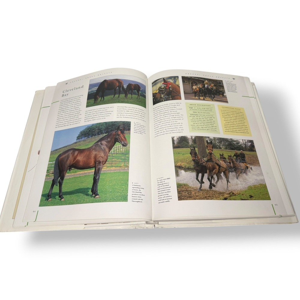 The Book of Horses and Horse Care by Judith Draper Hardcover 0-7651-9785-5 - Picture 6 of 7